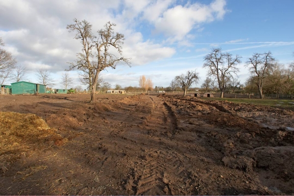 A Work In Progress
In the first paddock at Maggot's Croft.  The path that's being built is straight ahead.  The large groove on the right was made by the construction equipment going back and forth through the paddock.
Anahtar kelimeler: Clay Construction Lucies Farm Maggot's Croft Mud Pigs
