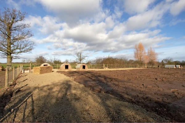 The path into the pig arcs
The pig arcs are located on the upper part of the field, so the water should drain away.  The hard core will be compacted on Monday.
Anahtar kelimeler: Clay Construction Lucies Farm Maggot's Croft Mud Pigs