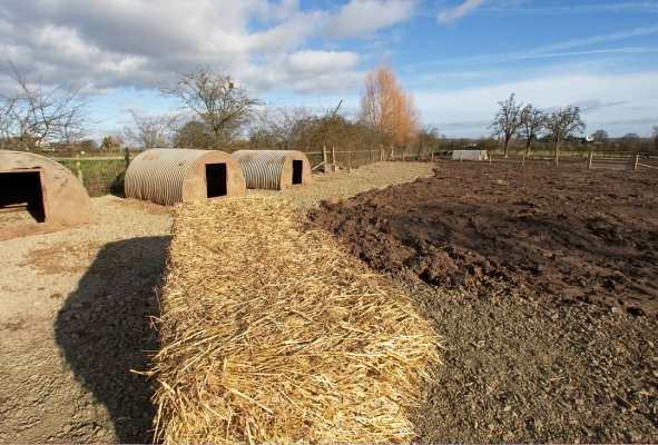 Straw ready for the wild boars' bedding
The wild boar are temporarily in the third paddock.  When the hard core has been compacted, we will move the remaining two pig arcs and then give them all a fresh bed of straw.
Palabras Clave: Clay Construction Lucies Farm Maggot's Croft Mud Pigs