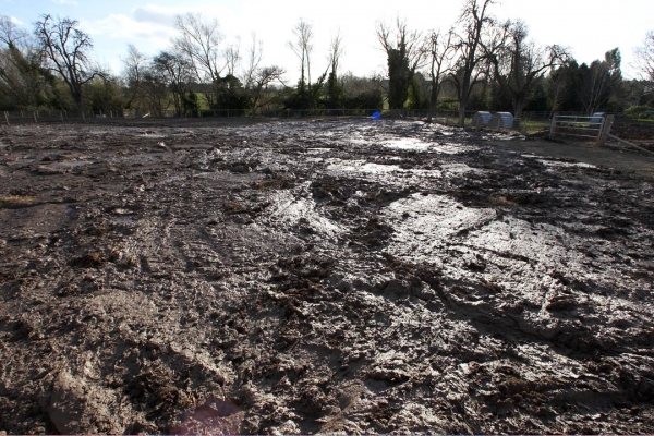 Lava Flow?  No it's just clay in sunny Worcestershire
The clay in the second paddock at Maggot's Croft.  The construction team did a good job of smoothing it --- they really had to dig it up when building the hard core foundation for the wild boar arcs.
Schlüsselwörter: Clay Construction Lucies Farm Maggot's Croft Mud Pigs