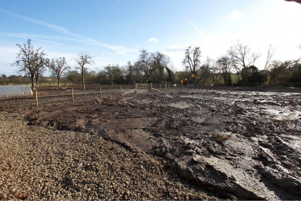 Clay at Maggot's Croft
In the second paddock, with the hard core (not yet compressed) on the left.
Ključne besede: Clay Construction Lucies Farm Maggot's Croft Mud Pigs