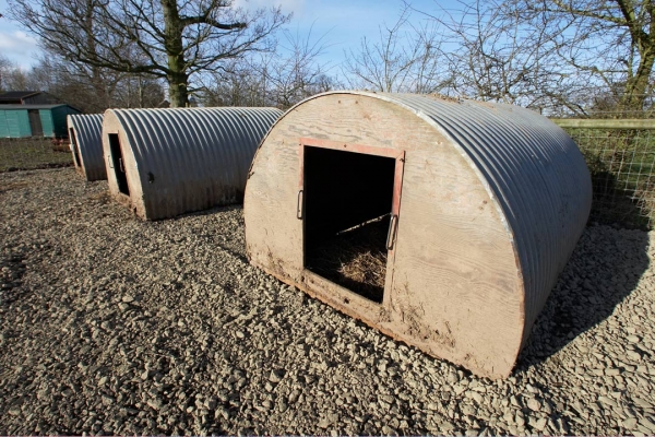 Three pig arcs
A project not quite finished.  The hard core needs to be compacted on Monday to keep the wild boar from just messing it up.  The hard core is quite thick, and very porous.  The rain water should drain away --- which it doesn't do with clay.
Mots-clés: Clay Construction Lucies Farm Maggot's Croft Mud Pigs