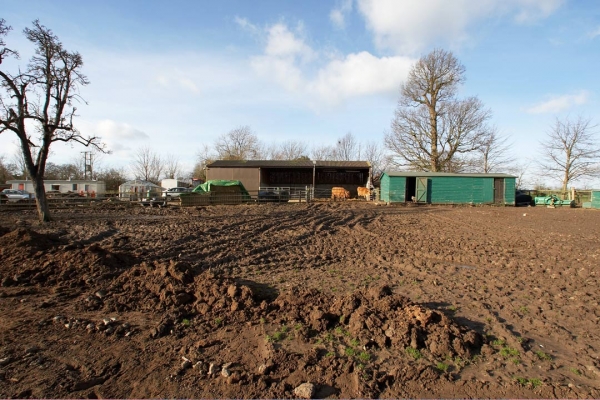Upper Barn and Chicken Coop
Ross and Belinda are enjoying the sunshine.  Ross had just had a big romp in this field, hitting the piles of dirt with this horns.
Ключові слова: Belinda Chicken coop Clay Construction Lucies Farm Maggot's Croft Mud Pigs Ross of Bien Esk Upper barn
