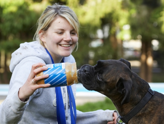 Boy, the whole jar to myself
Schlüsselwörter: Blonde Boxer Boxers Butter Dog Dogs Kate Peanut Play Playing Playtime Smile Smiling Woman Zac