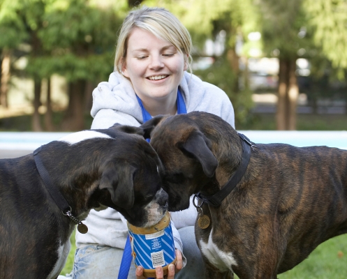 Hey, get your nose out of that jar
Schlüsselwörter: Best Blonde Boxer Boxers Butter Dog Dogs Friends George Kate Peanut Play Playing Playtime Smile Smiling Woman Zac