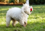 2q9w5572.jpg