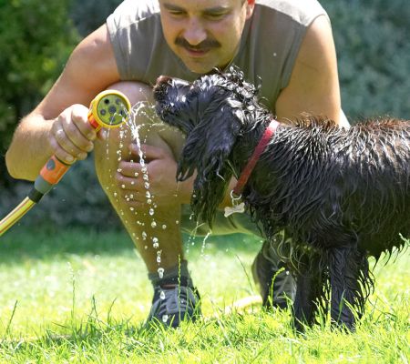 This is more like it!
Keywords: Fizzy Cocker Spaniel Zbigniew