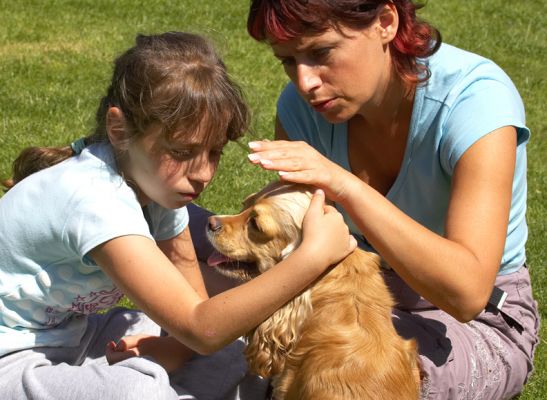 This is more like it!
Keywords: Alicia American Cocker Spaniel Beata Kasia