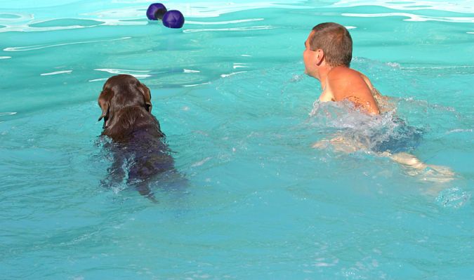 And the race is on
Ključne besede: George Chocolate Labrador Zbigniew