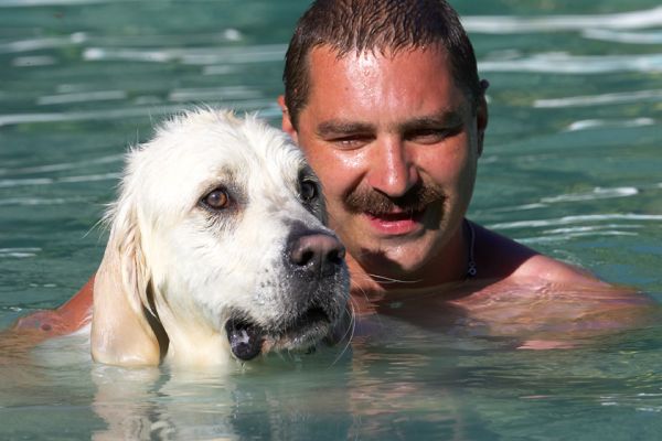 We make a good team
Ключови думи: Jayjay Golden Retriever Zbigniew