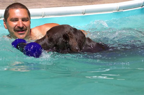 Best buddies
Keywords: George Chocolate Labrador Zbigniew