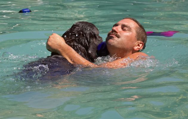 C'mon, I'll save you
Ключевые слова: George Chocolate Labrador Zbigniew