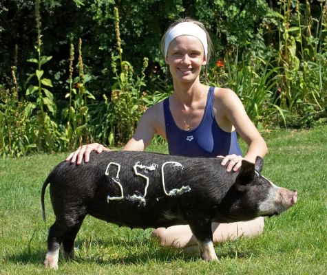 It's bloomin' hot today; hope she rubs that sun cream in soon
Keywords: Berkshire pig Sylwia