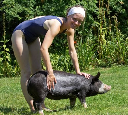 That's more like it
Keywords: Berkshire pig Sylwia