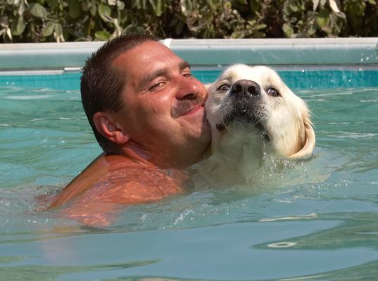 May I introduce my swimming partner
Ключови думи: Jayjay Golden Retriever Zbigniew