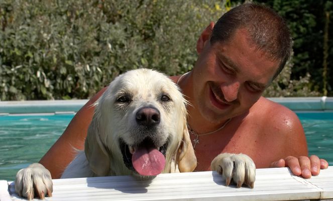 This swimming lark isn't too bad after all
Ключови думи: Jayjay Golden Retriever Zbigniew