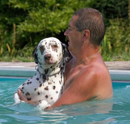 A girl needs a helping hand occasionally
Anahtar kelimeler: Cookie Dalmatian Zbigniew