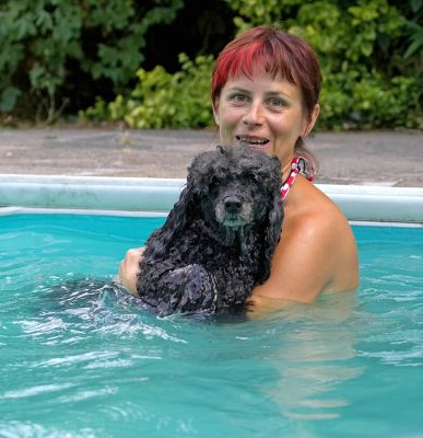 If this is swimming, give me more!
الكلمات الإستدلالية(لتسهيل البحث): Bali Miniature poodle Beata