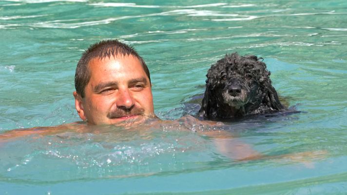 OK, who's the better looking beach boy?
Ključne besede: India Miniature poodle Zbigniew