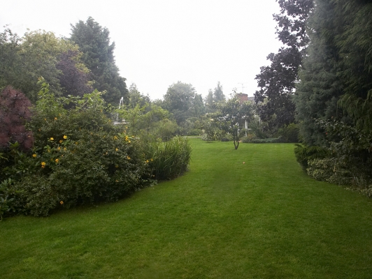 Whitecroft Front Garden In The Rain
The day before was sunny and warm, with blue skies.  Welcome to England!  This was photographed on July (yes, [i]July[/i]) 20, 2007.
Klíčová slova: Whitecroft front garden rain July
