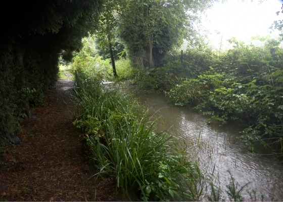 The Little Canal
This is the outflow from our duck pond, photographed during the worst rain I'd experienced.  I actually put the camera in its underwater housing to take these photographs.
Palabras clave: canal stream Whitecroft rain