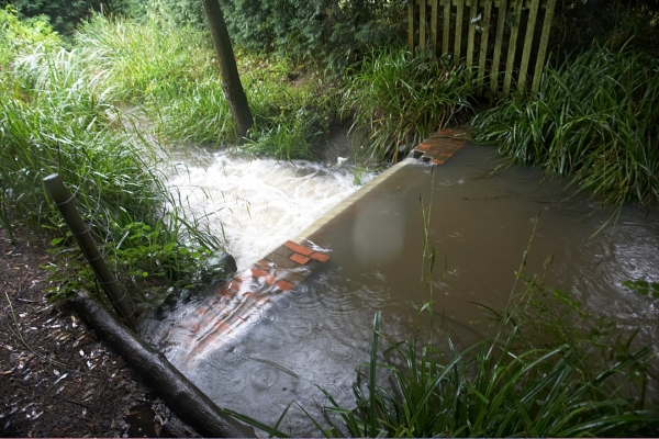 Our Little Dam
This is the first time I'd seen water actually go over the sides of the dam.  Normally the water just goes through the lower portion in the middle.  Fortunately our stream was able to take the water safely away from the house and garden.
Anahtar kelimeler: Whitecroft stream dam rain
