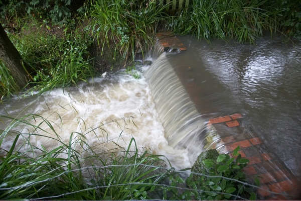 Whitecroft Dam
During the heavy rain day, July 20 2007.  Motorways closed, roads flooded, people stranded --- and our little dam working full time.
Λέξεις-κλειδιά: Whitecroft dam rain water flood