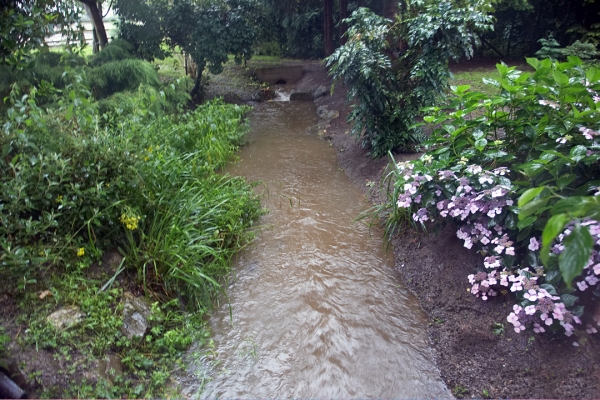 The Small Stream, from the Bridge
This is normally just a muddy area in the garden.  With the heavy rains, however, it became quite a quick flowing stream.
Anahtar kelimeler: Whitecroft stream rain flood