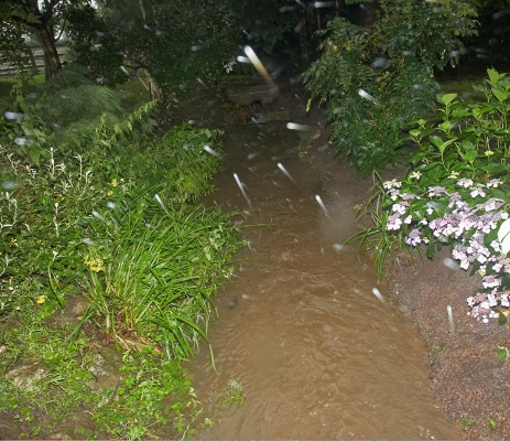 Whitecroft Stream
A flash photograph of the stream.  The white spots are huge raindrops --- they give this photograph quite a strange feeling.
Ключові слова: Whitecroft stream rain raindrops water flood rain