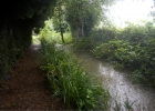 ZJuly-20-2007-0013.jpg