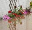 ZJuly-21-2007-0053.jpg