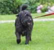 ZJuly-21-2007-0117.jpg