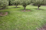 ZJuly-21-2007-0202.jpg