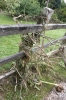 ZJuly-21-2007-0203.jpg