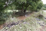 ZJuly-21-2007-0208.jpg