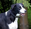 ZJuly-24-2007-0058.jpg