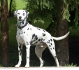 ZJuly-24-2007-0139.jpg