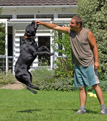 Bullseye!
Słowa kluczowe: Slipper Black Labrador Zbigniew