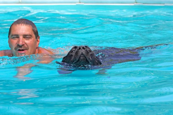 Me and my shadow
Keywords: Slipper Black Labrador Zbigniew