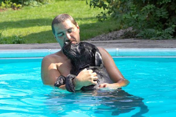 Phew, this is more tiring than I thought
Palabras clave: Slipper Black Labrador Zbigniew
