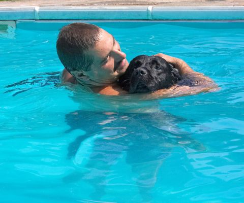 I'm glad he's keeping my head above water
Ključne besede: Ellie Black Labrador