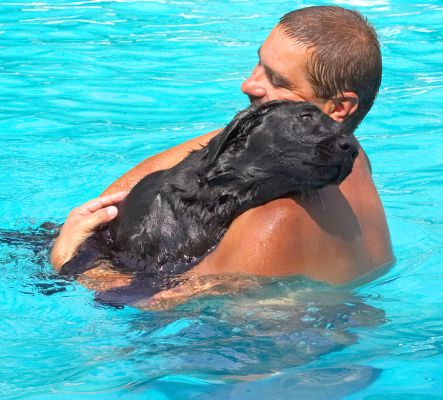 Phew, a pair of strong arms
Ključne besede: Ellie Black Labrador