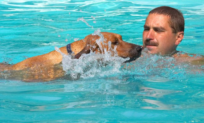 Look at me go
Palabras clave: Simba Rhodesian Ridgeback