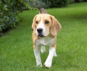 ZJuly-25-2007-0045.jpg