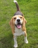 ZJuly-25-2007-0048.jpg