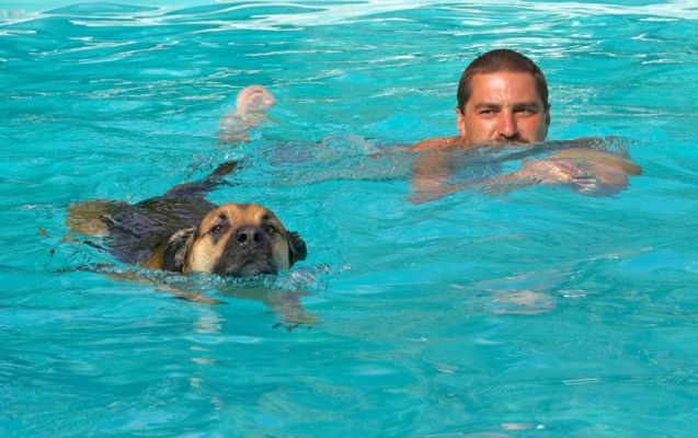 I'm winning!
Schlüsselwörter: Ripley Labrador Shepherd Cross X Zbigniew