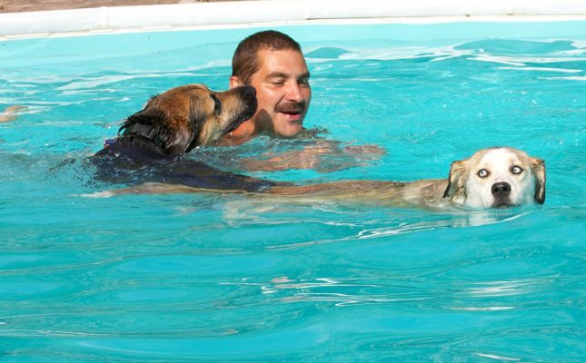 Thank you, thank you, thank you
Schlüsselwörter: Ripley Missy Labrador Husky Shepherd Cross X Zbigniew