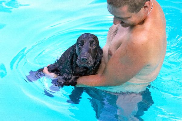 Keep hold!
Trefwoorden: Woody Cocker Spaniel Zbigniew