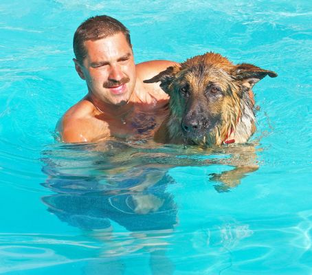 Hmmm, I'm not sure about this
Keywords: Max German Shepherd Alsatian Zbigniew