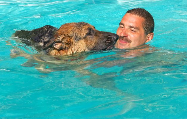 Stay close
Keywords: Max German Shepherd Alsatian Zbigniew